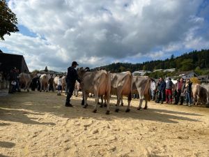 betriebscup sieger hodel thomas